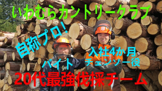 木の伐採紹介動画